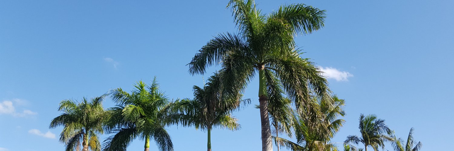 Max Grömping banner