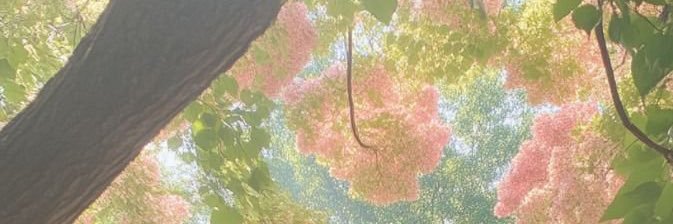 ange_tn's profile banner image