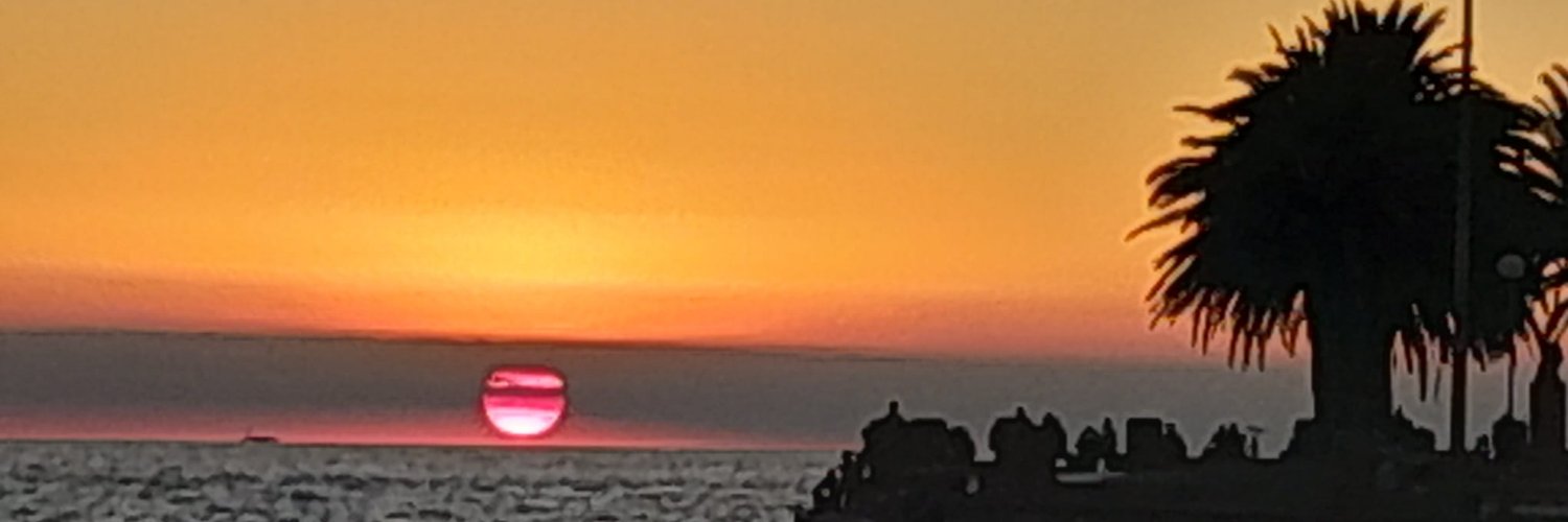 Mónica Colista banner