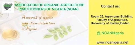 NOANNigeria's profile banner image