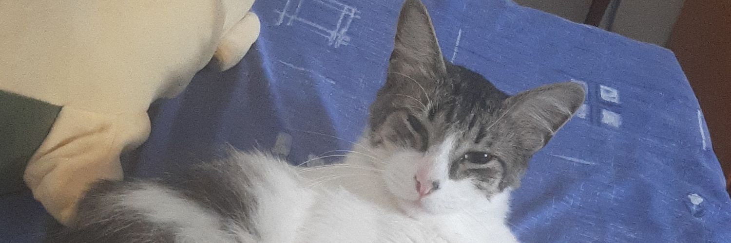 AleElf2's profile banner image