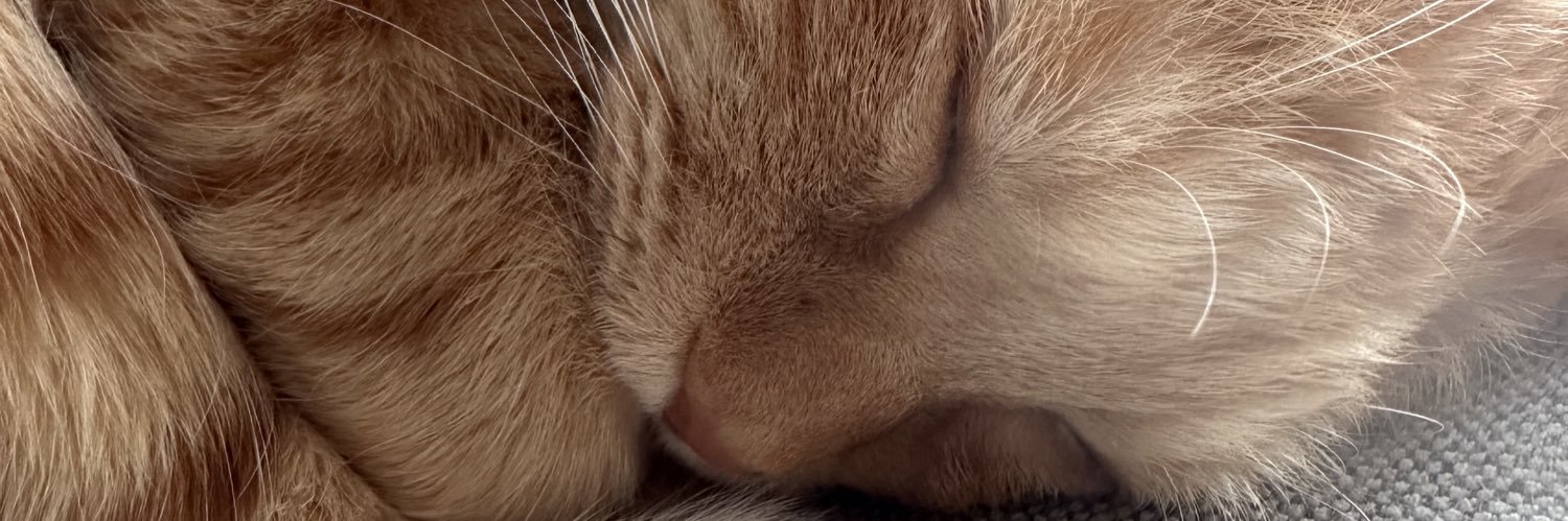 Kpsu_jut's profile banner image