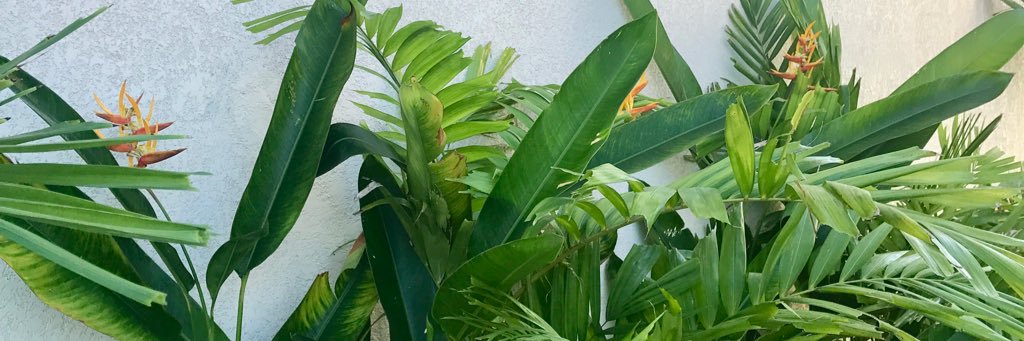 AnnaFridaGisla's profile banner image