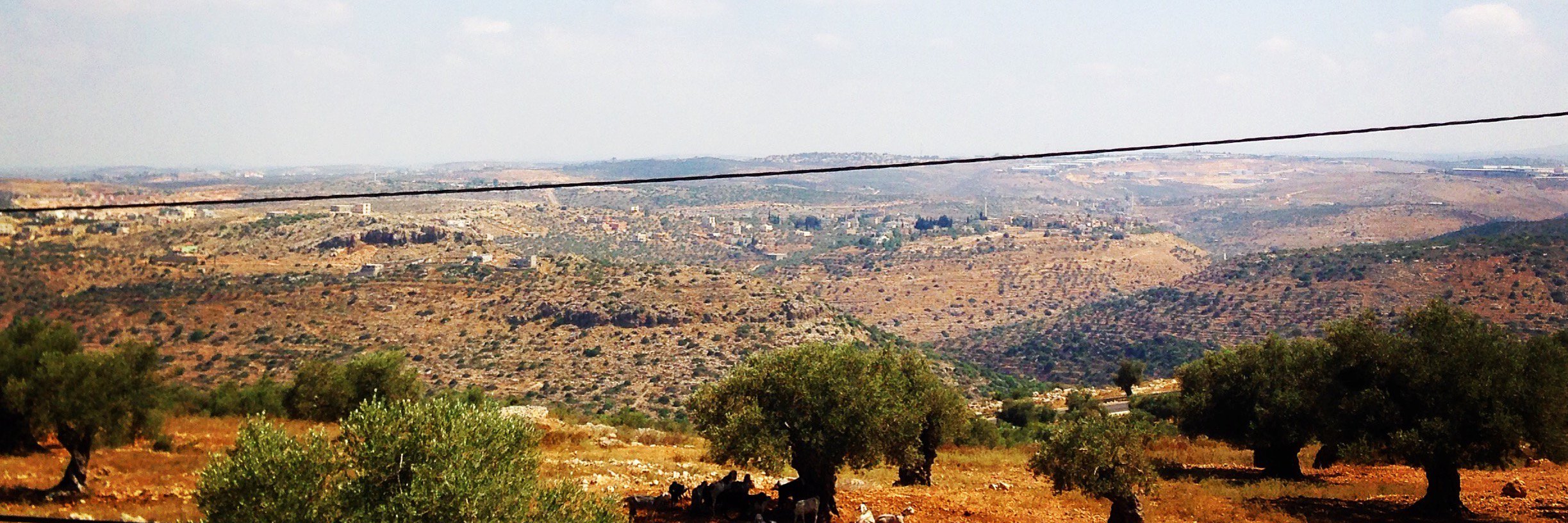 Adam آدم's banner