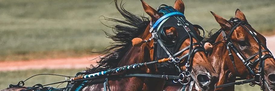 Alagna Racing banner