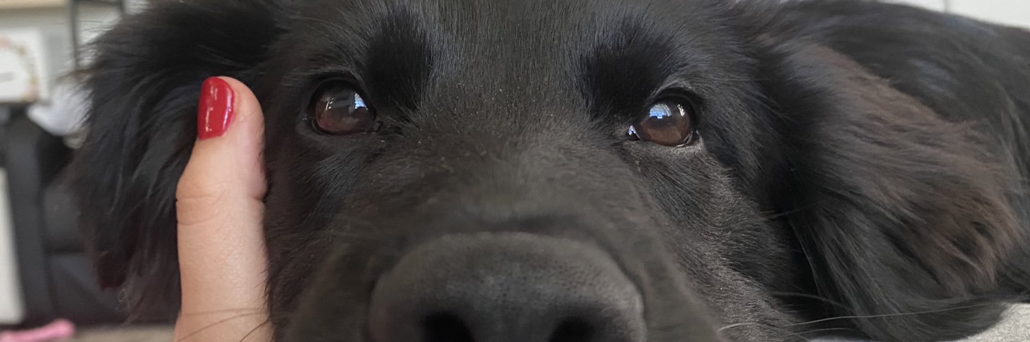 wboswell1's profile banner image