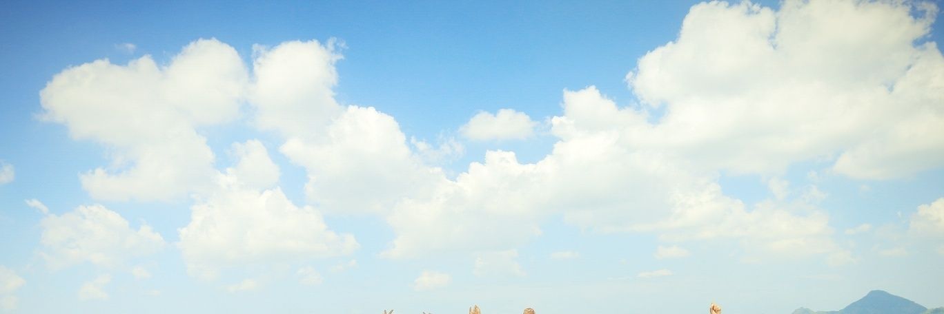 msrnrl's profile banner image