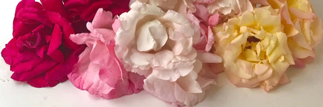 Pablo Paniagua banner