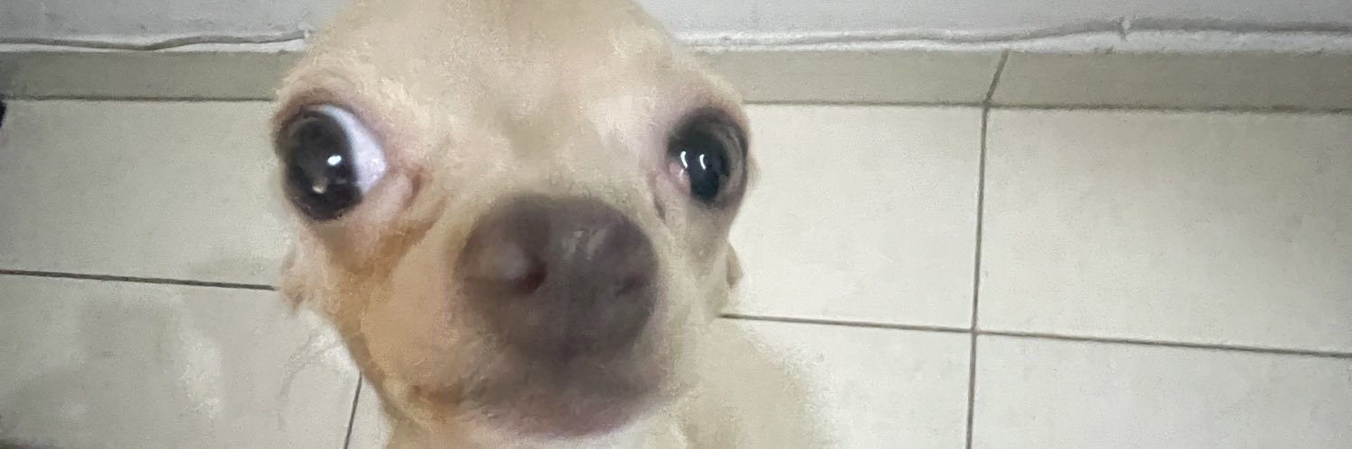 ruanovaalan's profile banner image
