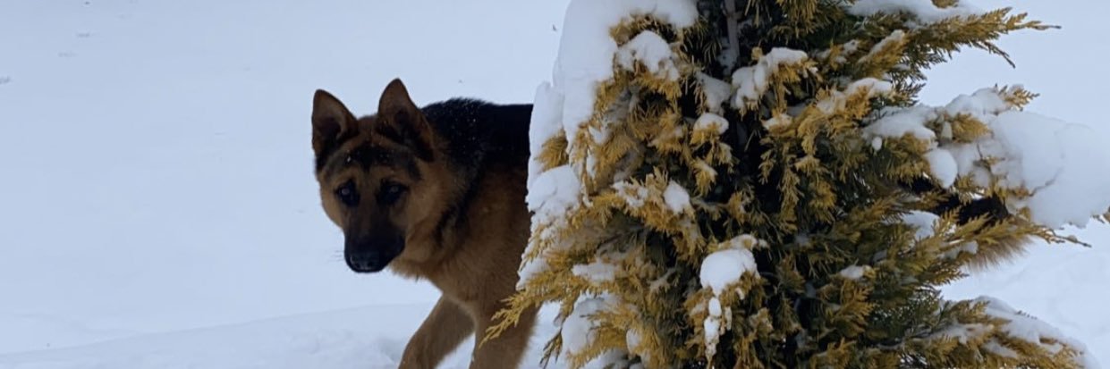 AhmetYmnoglu's profile banner image