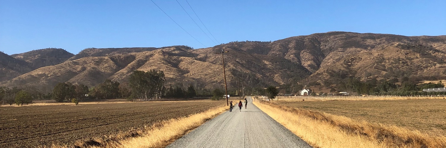 Jon Steinberg banner