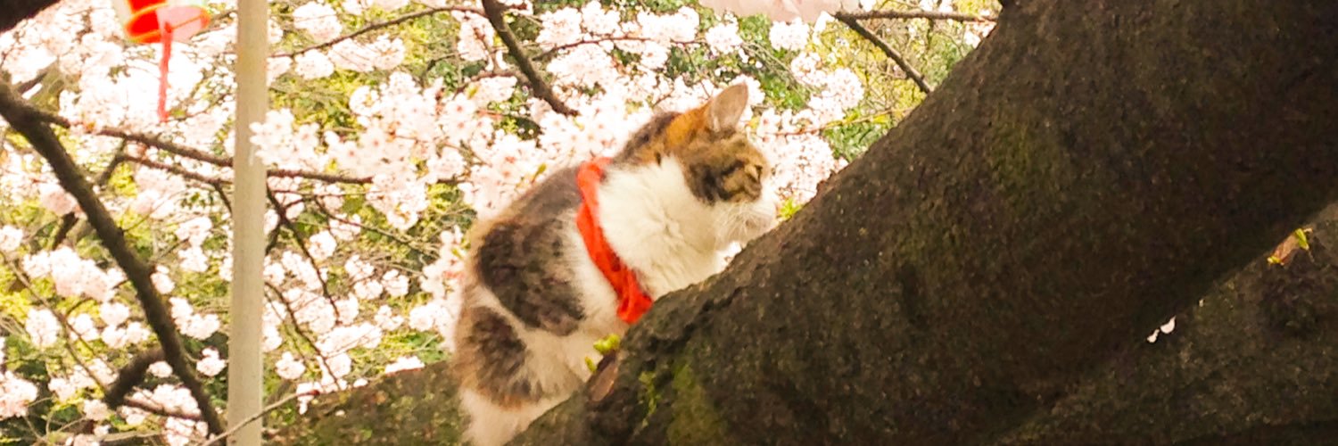makeboys's profile banner image