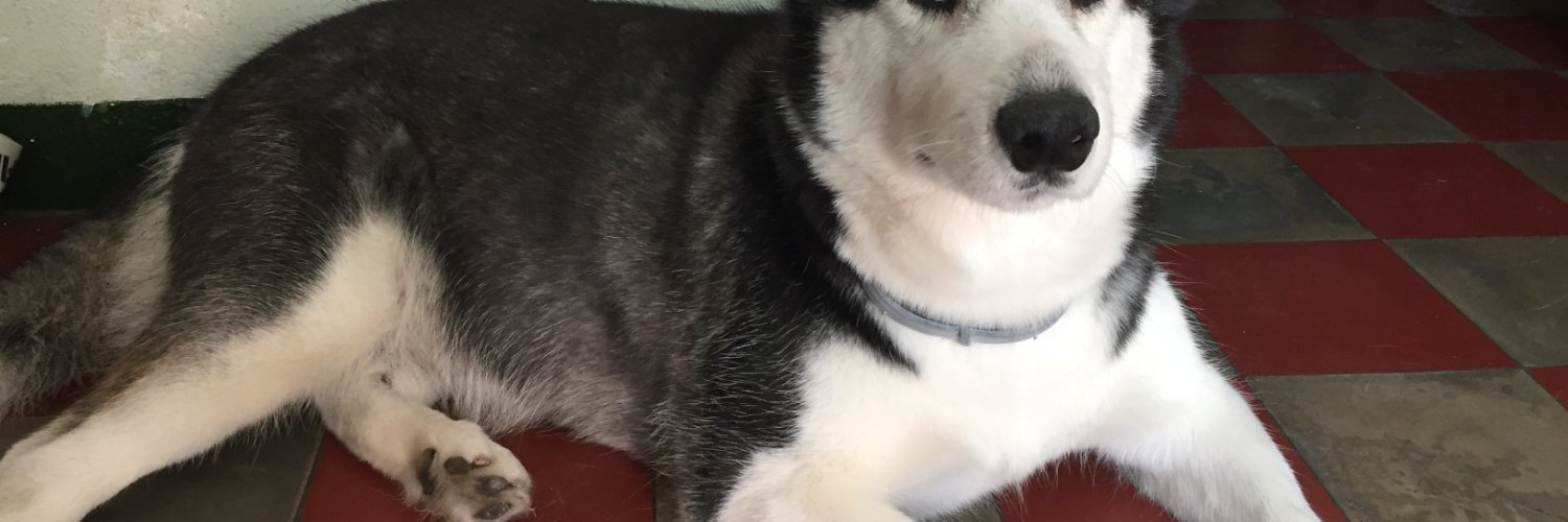 Iris Anabella López banner