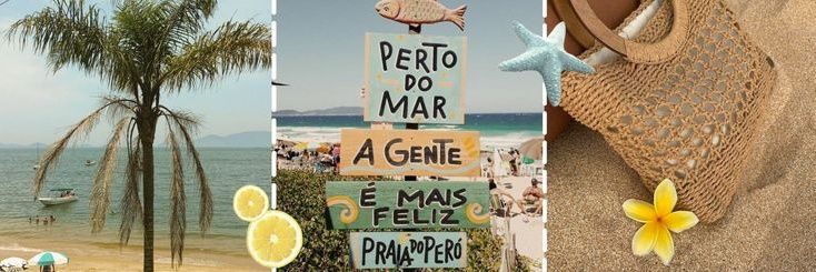 CACAW 🐱 FAST ON WA banner