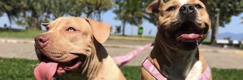 danmali7's profile banner image