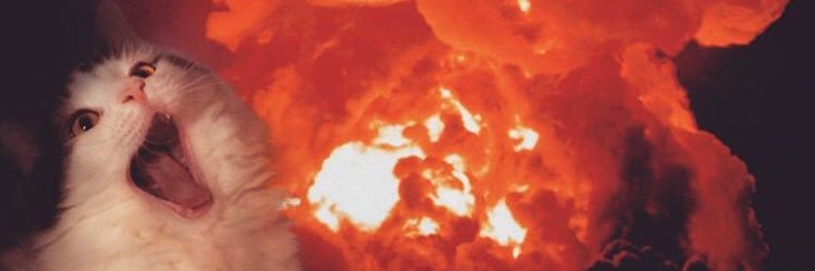 rodowhite's profile banner image