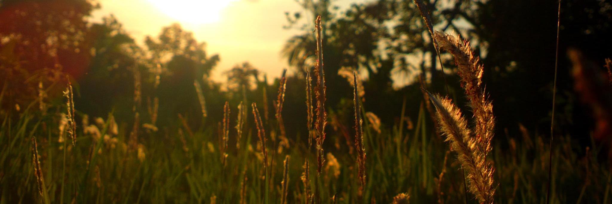 katrinidad_06's profile banner image