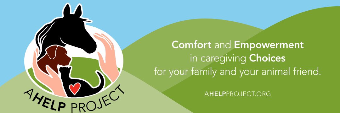 ahelp_project's profile banner image