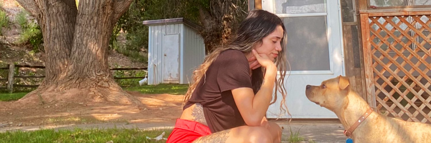 VilleFlo's profile banner image