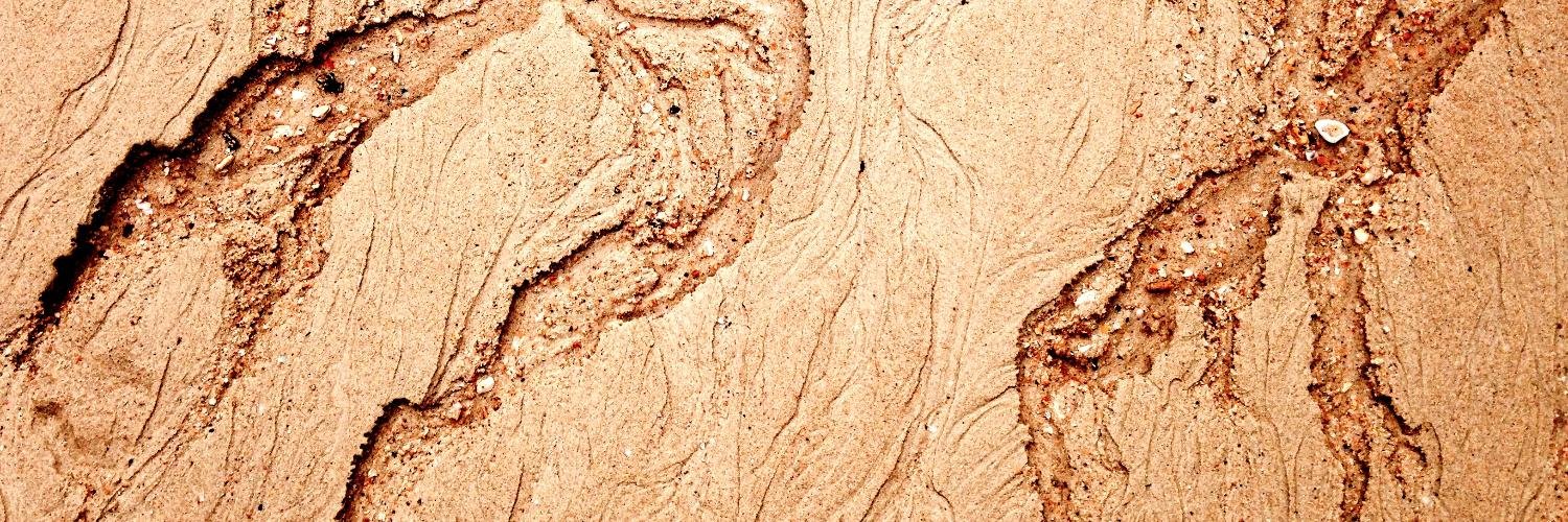 Kelsey Brongo banner