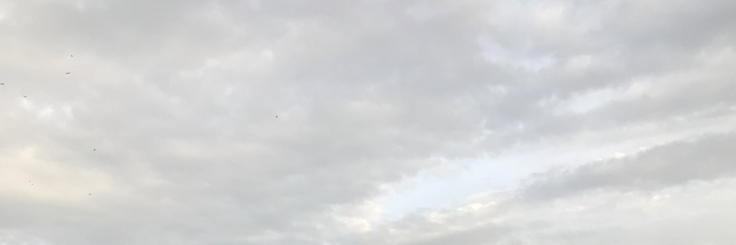 _chelseanvr's profile banner image