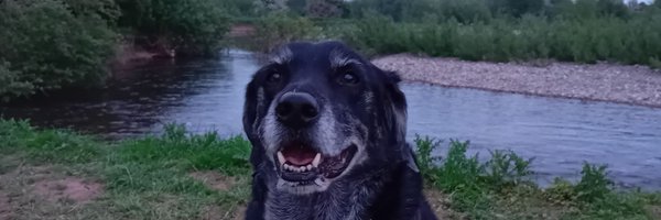 HRoyleSolicitor Profile Banner