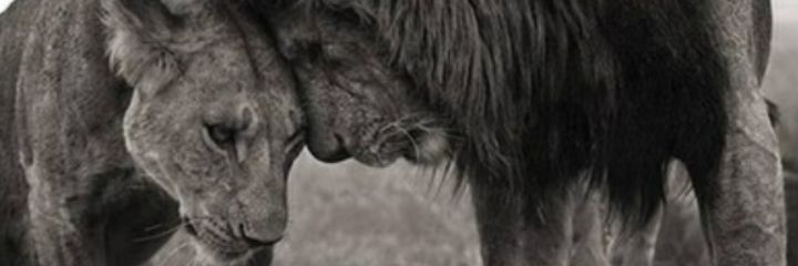 _itsssss's profile banner image