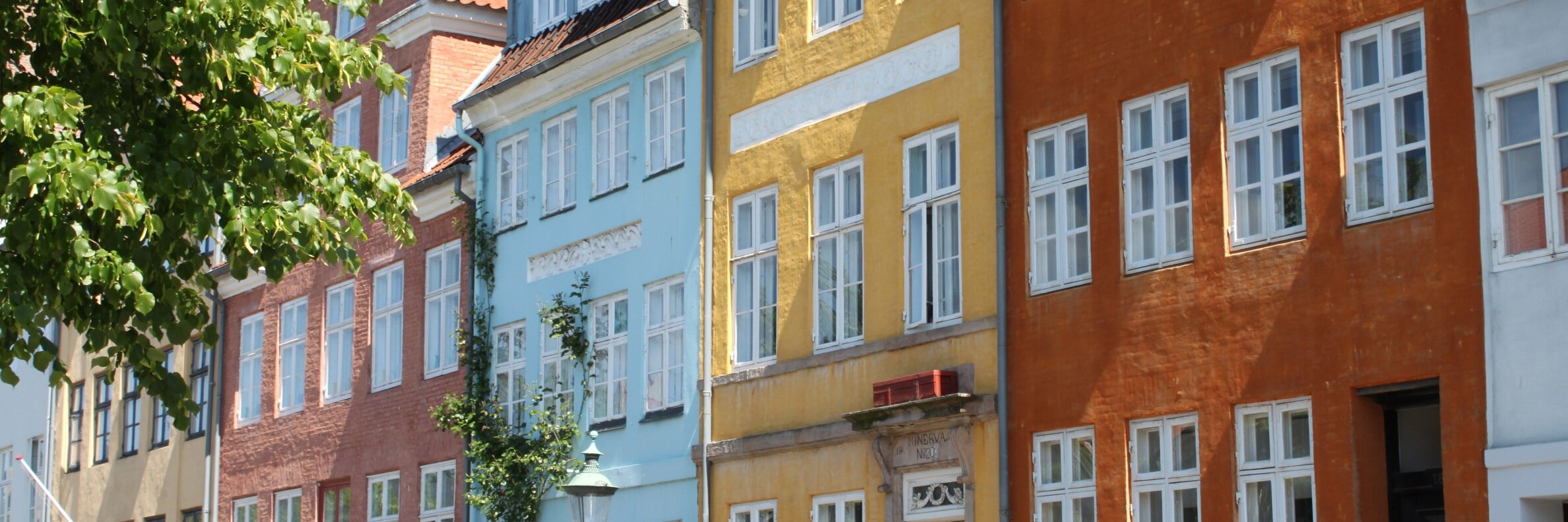 janemcwallace's profile banner image