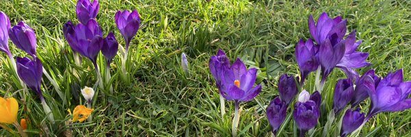 rogerjspreston Profile Banner