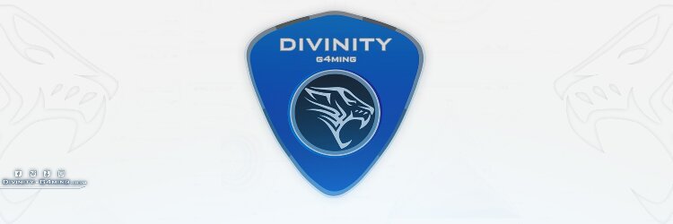 Divinity Zidane banner