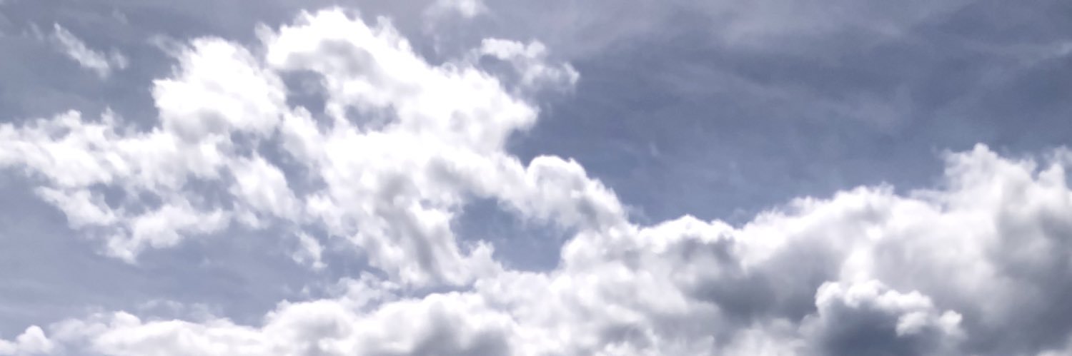 joannelau_'s profile banner image