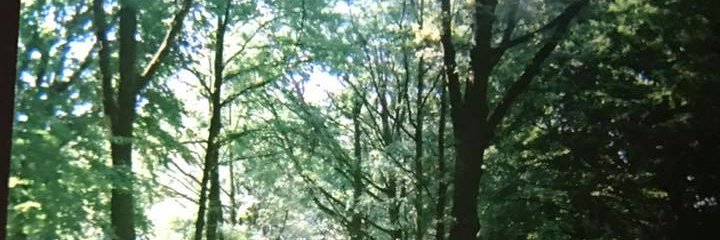 westofcentral's profile banner image