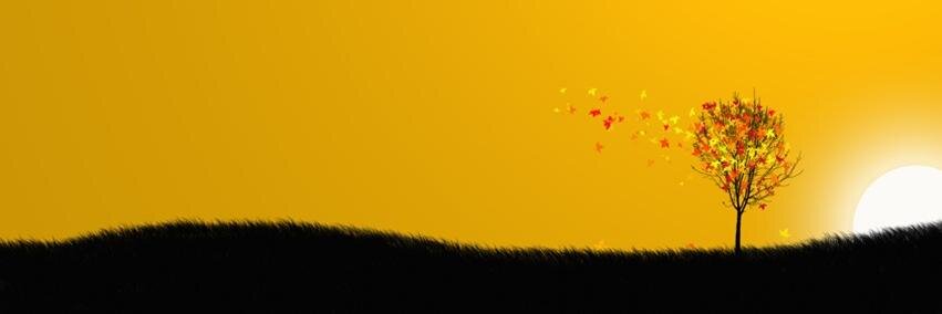 Hitha_ck's profile banner image