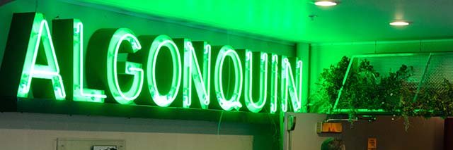 ALGONQUIN banner