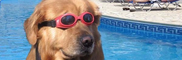 howlingformore's profile banner image