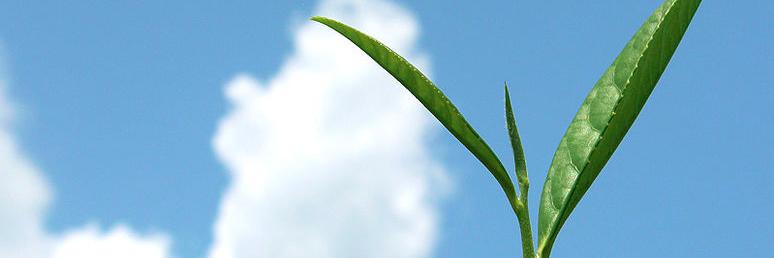 HEXI12's profile banner image