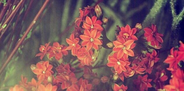 ShTabatabayee's profile banner image