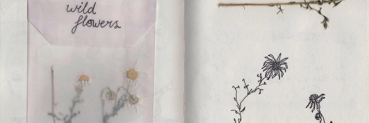 HannahBandi's profile banner image