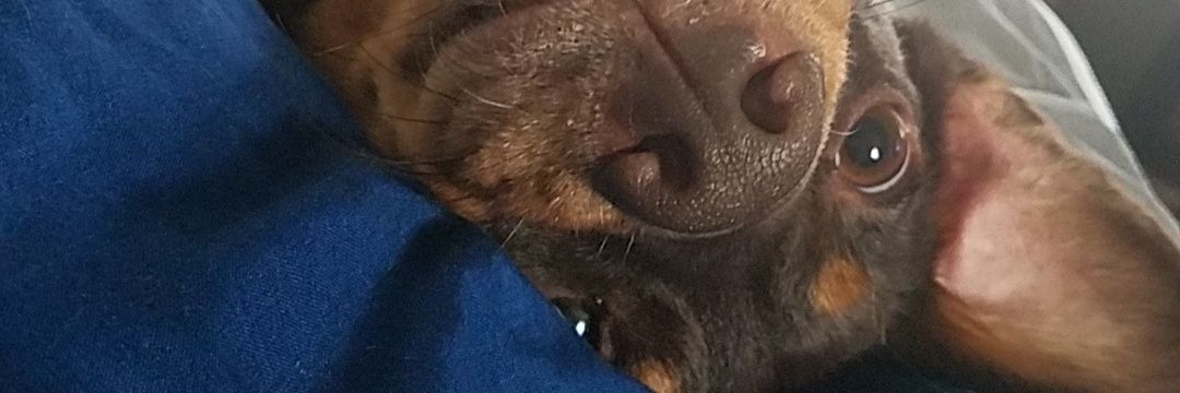TeriMarie17's profile banner image