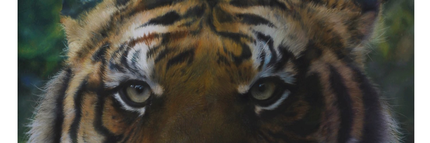 RowKir's profile banner image