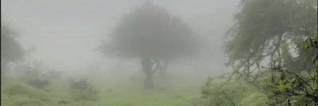s9409m's profile banner image