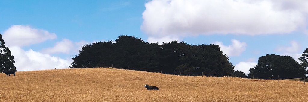 SaintSaxon's profile banner image