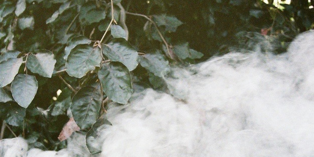 Britttex's profile banner image