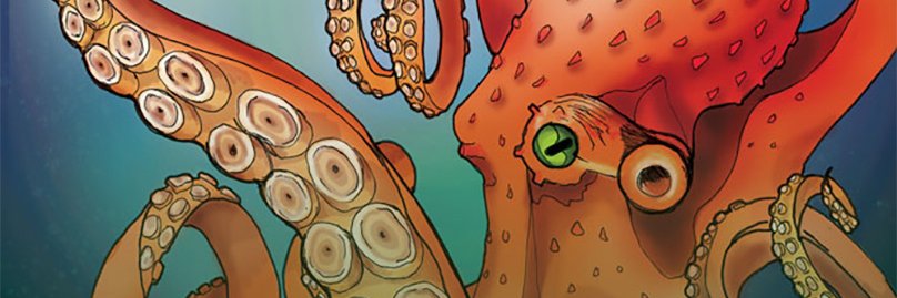 amyh9701's profile banner image