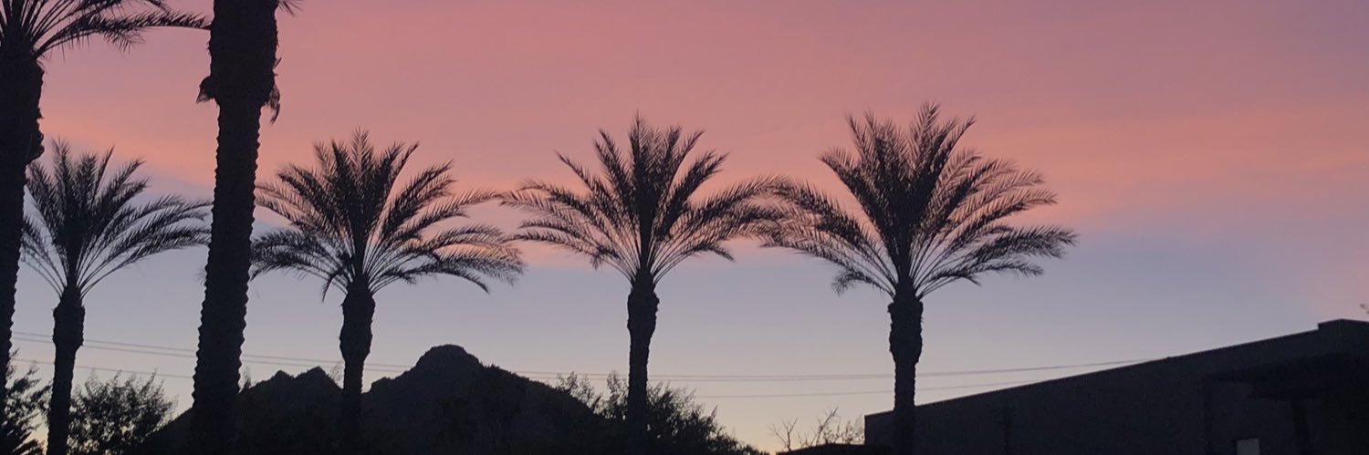 Daniella Saetta banner