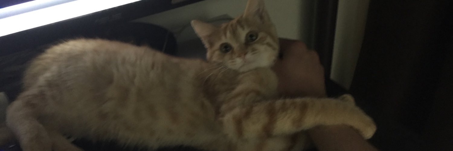 juice_re's profile banner image