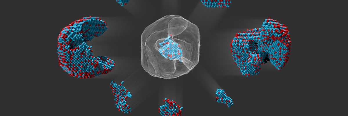 20•10•2020 🌐 banner