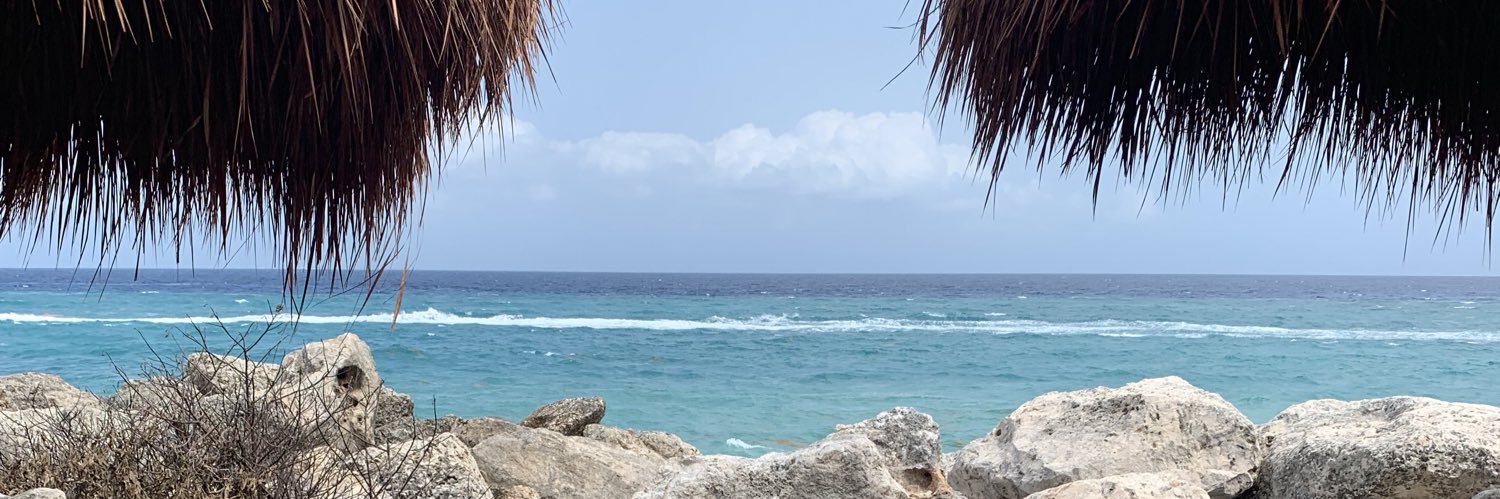 reneMSantini's profile banner image