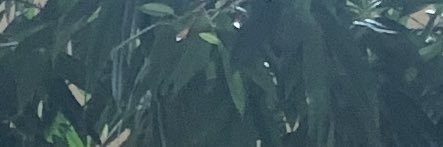 ayyaaa1285's profile banner image