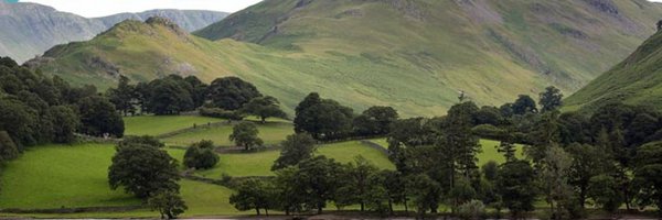 UoCResearch Profile Banner
